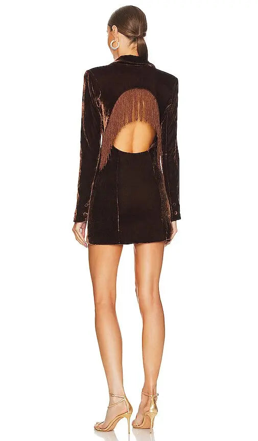 Brown Velvet Open Back Tassel Mini Dress